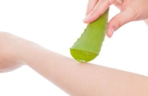 Sane con aloe vera, el remedio natural más versátil Revista Selecciones