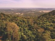 Selva Misionera celebra su consagración como Maravilla Natural Argentina