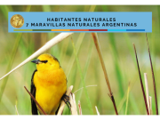 Selva Misionera: Tordo con brillo propio Revista Selecciones