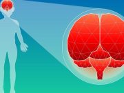 Si el cerebro pierde la vista…