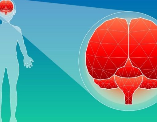 Si el cerebro pierde la vista…