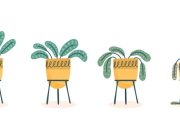 Soluciones a problemas comunes para jardineros novatos