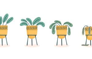 Soluciones a problemas comunes para jardineros novatos Revista Selecciones