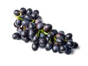 Uvas: su jugo es un manjar