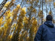 Su cerebro fue hecho para caminar