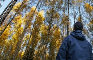 Su cerebro fue hecho para caminar Revista Selecciones