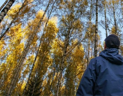 Su cerebro fue hecho para caminar