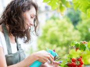 Todo es mejor de a dos: cultivos de compañía