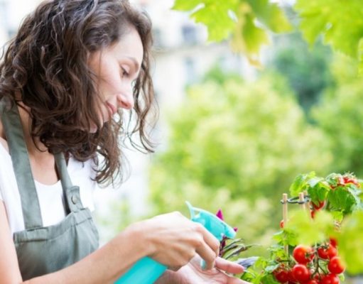 Todo es mejor de a dos: cultivos de compañía