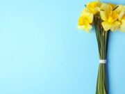 Tratamientos naturales contra el Alzheimer