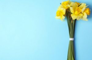 Tratamientos naturales contra el Alzheimer Revista Selecciones