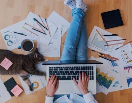 Trucos para entrenar a su gato en cuarentena