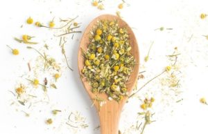 Un calmante natural: aproveche el poder de la manzanilla Revista Selecciones