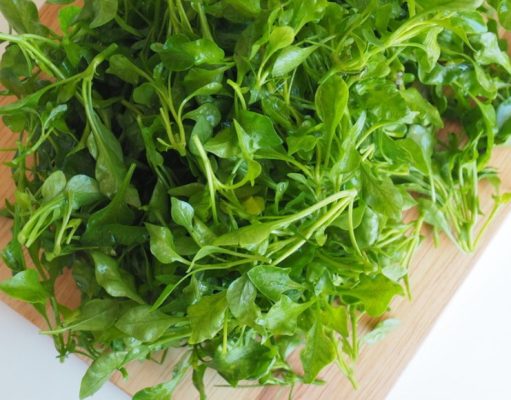 Un mundo detrás de una simple hoja de berro