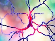 Un punto de inflexión en la esclerosis múltiple