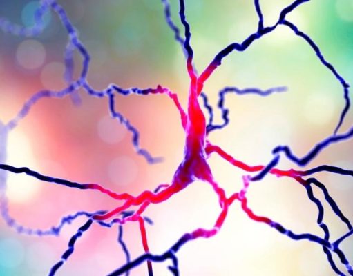 Un punto de inflexión en la esclerosis múltiple