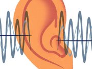 ¿Se puede revertir la pérdida auditiva? se puede revertir la perdida auditiva