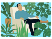 Las plantas del interior pueden salvarle la vida Revista Selecciones