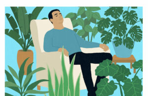 Las plantas del interior pueden salvarle la vida Revista Selecciones