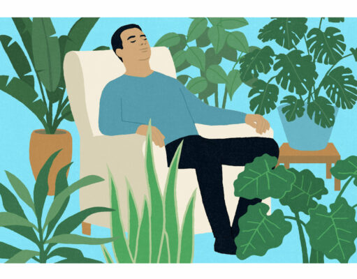 Las plantas del interior pueden salvarle la vida