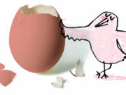 12 datos divertidos sobre los huevos Huevos