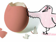 12 datos divertidos sobre los huevos Huevos