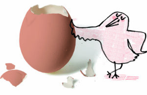 12 datos divertidos sobre los huevos Huevos