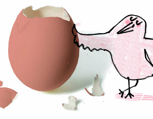 12 datos divertidos sobre los huevos Huevos