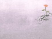 Cuando la tragedia trae esperanza