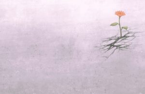 Cuando la tragedia trae esperanza Revista Selecciones