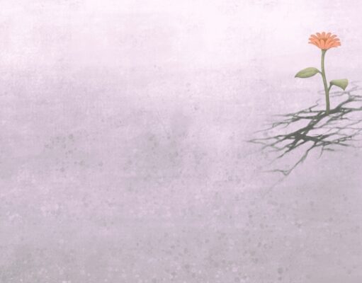 Cuando la tragedia trae esperanza