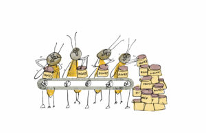 13 datos sobre las abejas Abejas