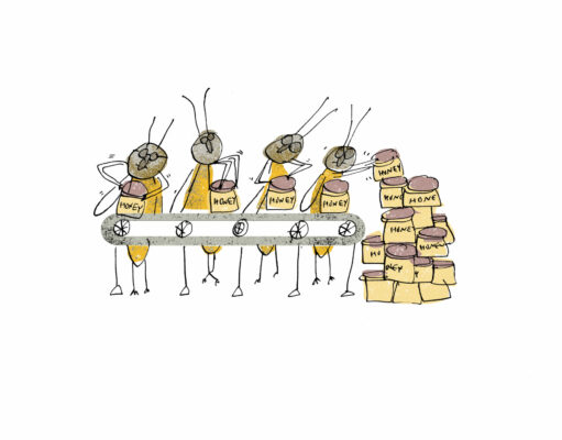 13 datos sobre las abejas Abejas