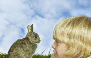 La increíble historia de un entrañable conejo Un niño y su conejo