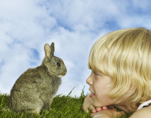La increíble historia de un entrañable conejo Un niño y su conejo