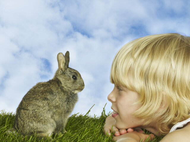 Un niño y su conejo