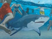 Ataque de tiburón en la playa: cuando fallan las alertas Ataque de tiburòn