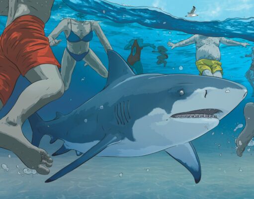 Ataque de tiburón en la playa: cuando fallan las alertas Ataque de tiburòn