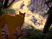 La atacó un puma… y sus amigas la salvaron Ataque de puma