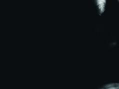 Violencia doméstica: un camino de recuperación Violencia doméstica