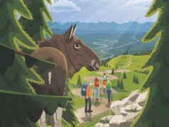 ¡Un alce en el camino! Alce