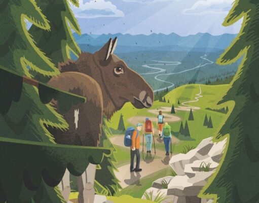 ¡Un alce en el camino! Alce