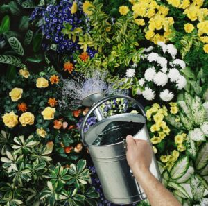 Terapia en la naturaleza