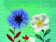 Una donación le salvó la vida Donación de órganos