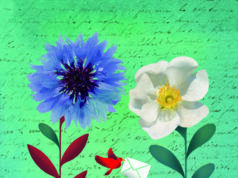 Una donación le salvó la vida Donación de órganos