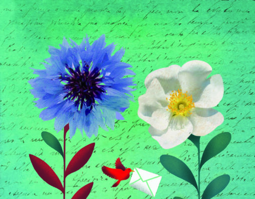 Una donación le salvó la vida Donación de órganos