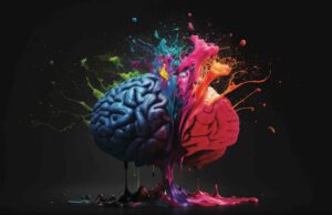 16 hábitos para un cerebro imparable Cerebro hábitos