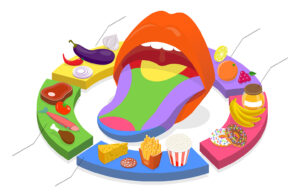 El secreto del gusto Sentido del gusto