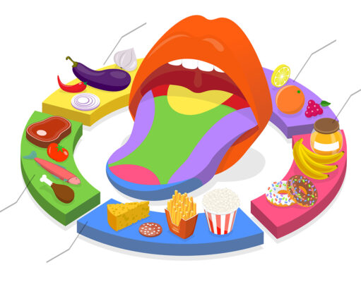 El secreto del gusto Sentido del gusto