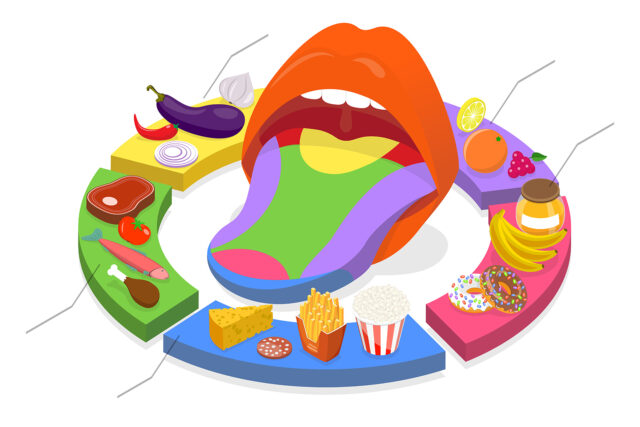 3D Isometric Flat Vector Conceptual Illustration of Human Five Tastes Sentido del gusto